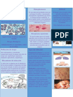 Folleto de Histoplasmosis