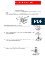 Partes de la flor y su reproducción