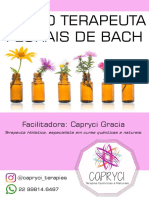 Curso terapeuta florais Bach menos