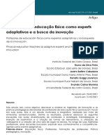 Professores de educação física como experts adaptativos e a busca da inovação