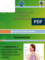 Histologia Del Aparato Respiratorio 2