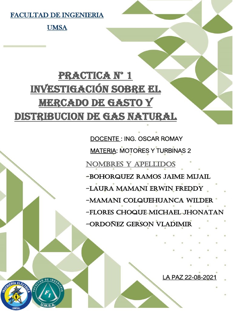 Análisis del Mercado de Gas Natural en Bolivia | PDF | Bolivia | Estado ...