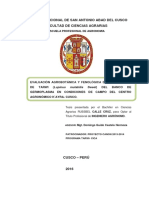 Evaluación Agrobotánica y Fenológica de 150 Entradas Ing Guido