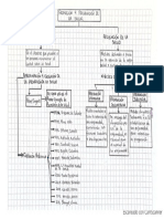 Mapa Conceptual