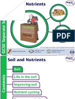Soil and Nutrients