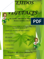 Presentacion Tejidos Vegetales