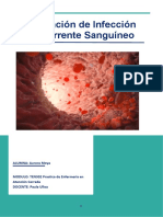 10 Prevencion de Infección Al Torrente Sanguineo Aurora Moya