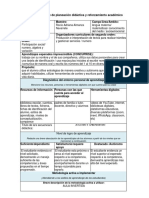 Formato Flexible 1