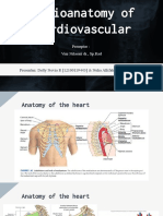 1. Kelompok 17 2019 - Radiologi CSS Radioanatomi Kardiovaskular (Tim B)