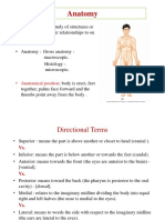 Anatomical Terminology and Orientation