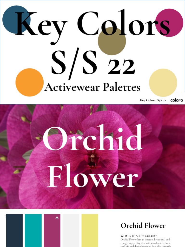 Key Colors S - S22 Activewear | PDF | Color | Qualia