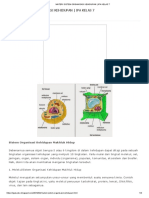 Materi Sistem Organisasi Kehidupan - Ipa Kelas 7