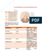 7 MODULE 7 Nervous System