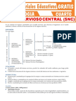 Sistema Nervioso Central para Cuarto Grado de Secundaria