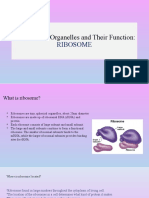 Structures of Organelles and Their Function
