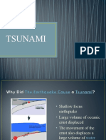 Tsunami Lesson