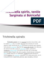 Trichinella Spirlis, Teniile Sarginata Si Botricefal