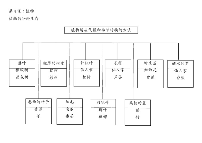 笔记植物适应气候和季节 Pdf