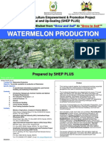 JICA Watermelon Materials_27