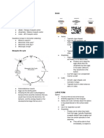 Lbybi21 Notes