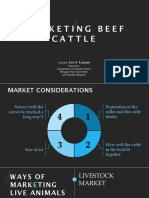 Marketing Beef Cattle