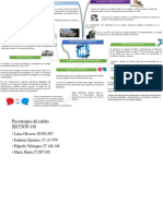 MAPA MENTAL Psic Del Adulto