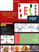 SEMANA 14 (PROTEINAS Y ACIDOS NUCLEICOS - ORIGINAL)