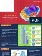 SEMANA 16 (CITOPLASMA) ORIGINAL