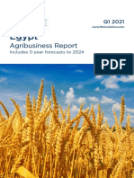 Egypt Agribusiness Report - Q1 2021
