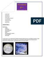 Informe Biologia