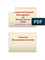 Prokaryote PDF 2020