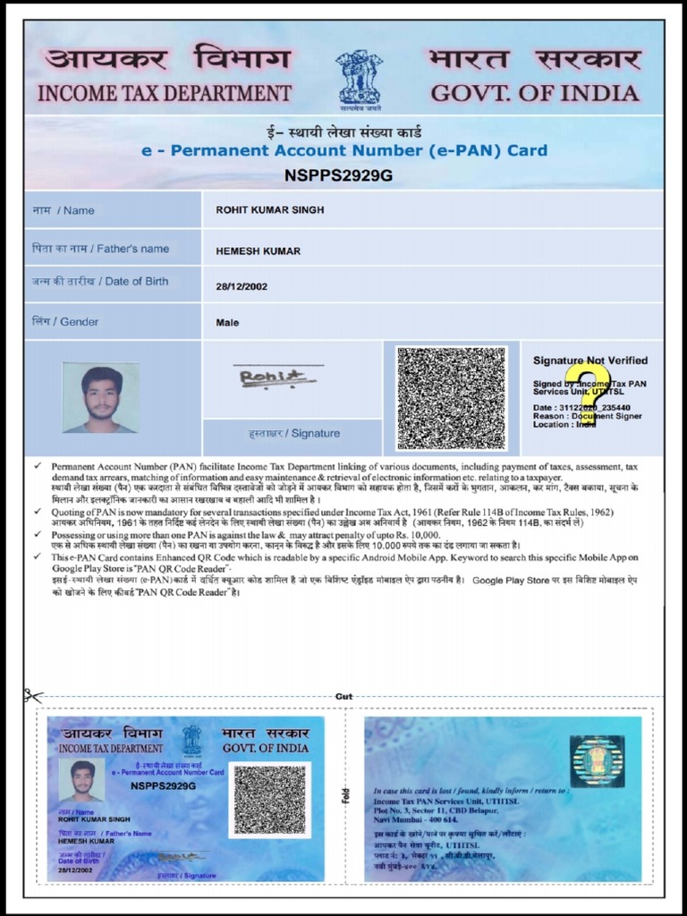 Pan Card | PDF