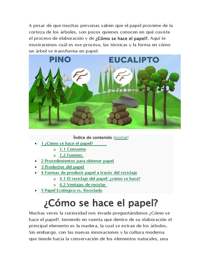 Jaboncillo Sapindus Saponaria: Del Desierto al Bosque, image size:768x1024