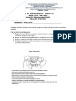 Etica Decimo - Tercer Periodo #2