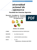 Informe PDF