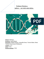 Trabajo Práctico