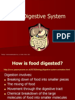 The Digestive System: "Biology." Scienceclasstemplate. N.P., N.D. Web. 29 Dec. 2014