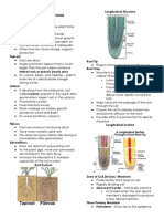 Botany Practicals PDF