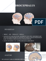 Obstruksi Situs dan Patologi Pada Hidrosefalis