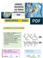 Luz Noelia Quisbert Lopez - Acidos Nucleicos