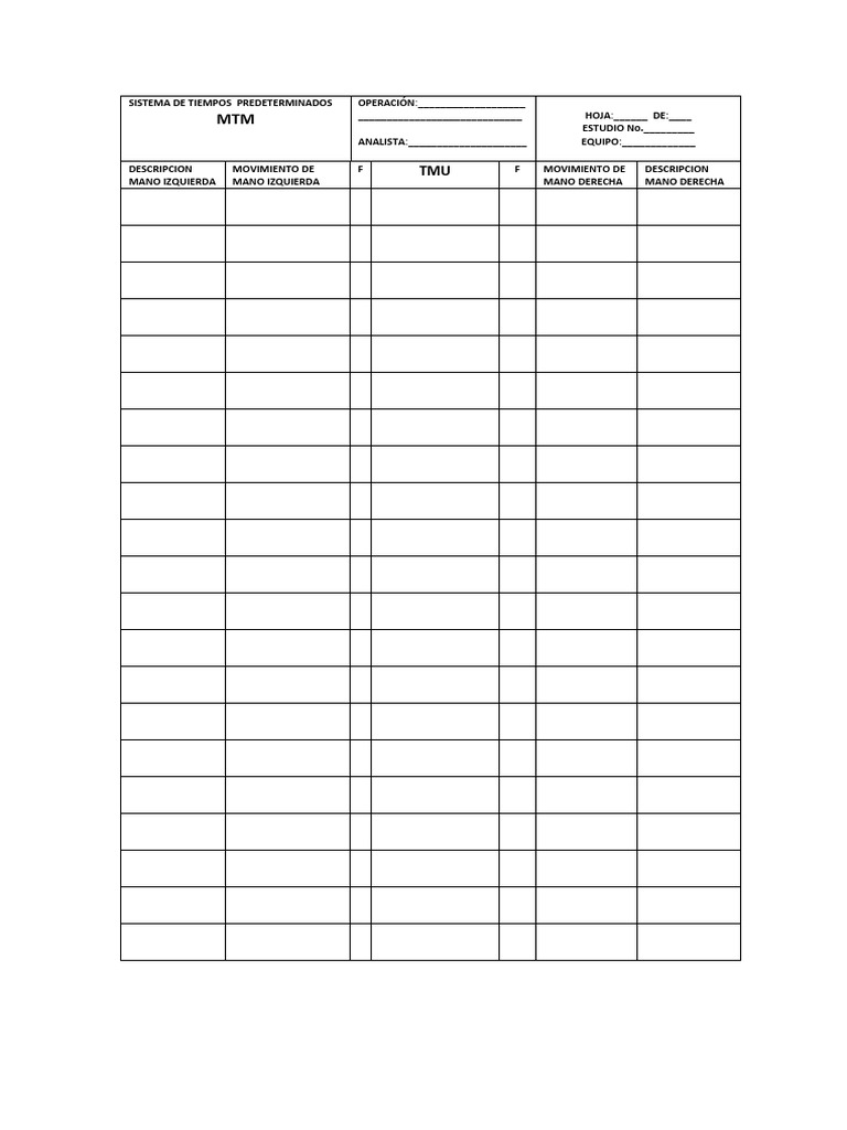 Formato MTM | PDF
