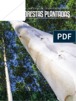 Plano-Nacional-De-Desenvolvimento-De-Florestas-Plantadas - MMA