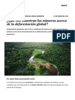 ¿Qué Nos Muestran Los Números Acerca de La Deforestación Global