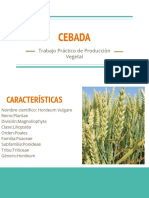 Producción Vegetal III CEBADA