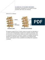 Principales Patologías de La Columna Vertebral