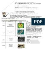 Roteiro Semanal Ciencias Roteiro 2