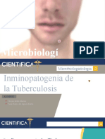 Explique A Través de Dibujos Comentados La Inmunopatogénesis de La Tuberculosis Pulmonar Activa. Emplee Como Ejemplo Un Caso Característico