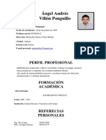 Ángel Andrés Villón Ponguillo