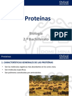 04 Presentacion Proteinas