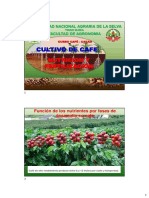 Cafe Tema 6 Nutricion y Fertilizacion 2020